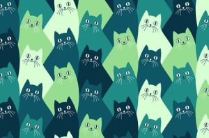Cat transfers Covid-19 to human in first documented case | Health24 – News24
