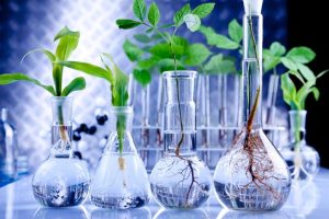 Understanding Plants Is Key to Finding a Cure for Cancer – SciTechDaily