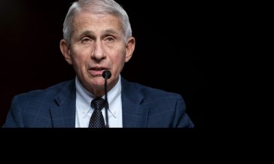 Anthony Fauci