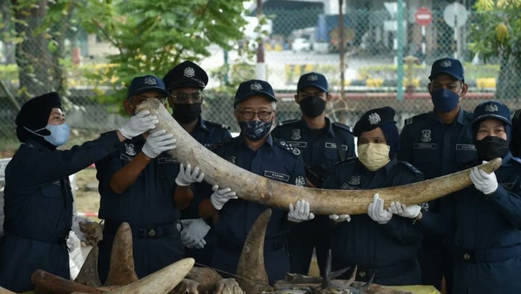 Malaysian customs officials seize US million worth of trafficked parts