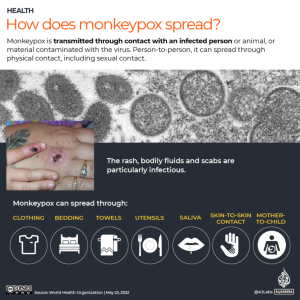 ‘Urgent’ action needed in Europe over monkeypox spread: WHO – Al Jazeera English