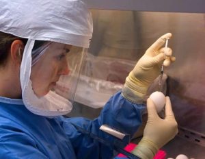 Reducing barriers to access provincial COVID-19 vaccination data in Canada – News-Medical.Net