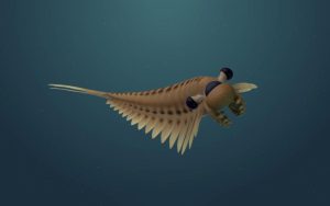 “Astonishing” 500-Million-Year-Old Fossilized Brains Prompt a Rethink of the Evolution of Insects and Spiders – SciTechDaily