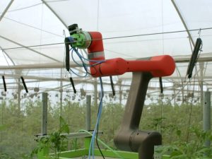 Beyond robo-bees: can technology really help halt the biodiversity crisis? – Investigate Europe