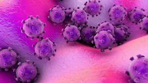 COVID Boosters Might Be Less Than 20% Effective After a Few Months: Study – NBC New York