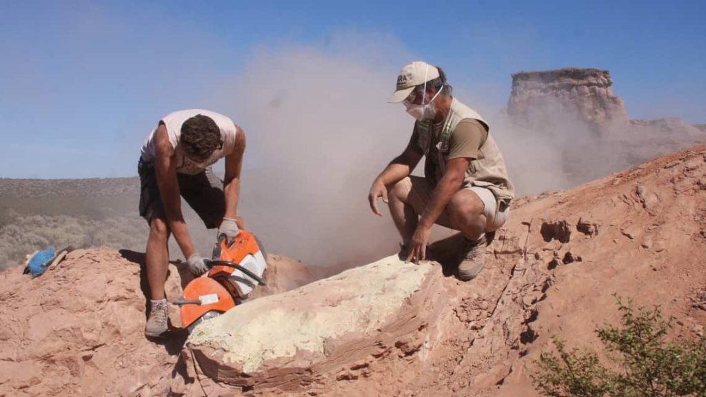 Remains of small armor-plated dinosaur found in Argentina – Mint Lounge