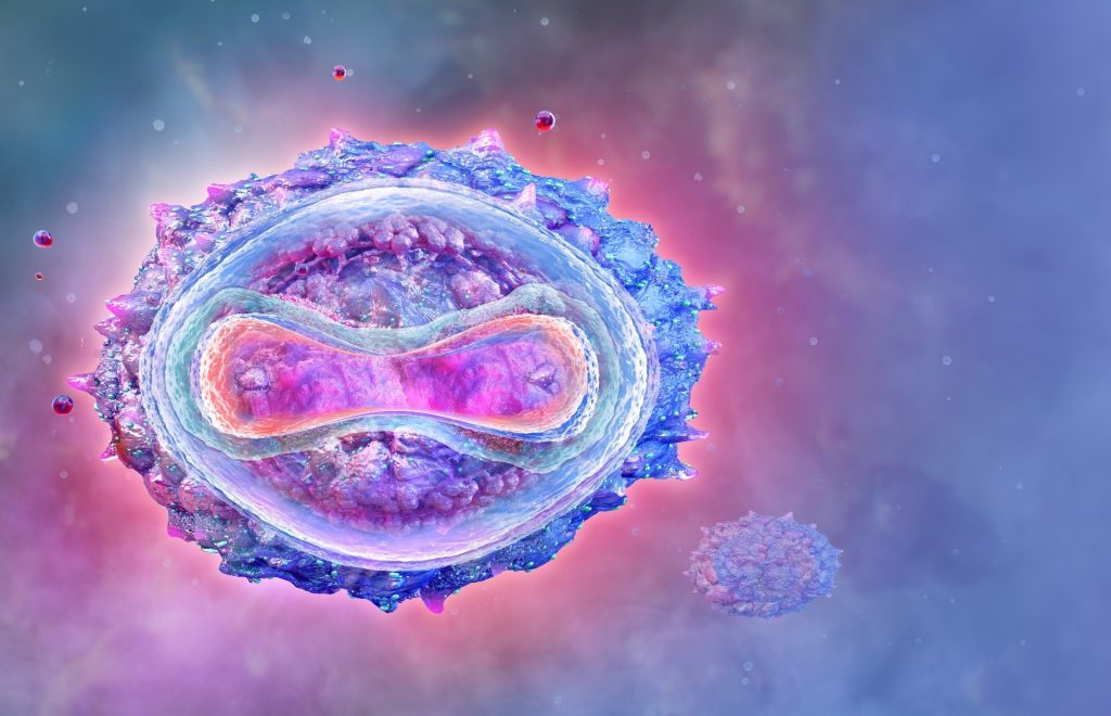 Outlook towards Monkeypox vaccination in healthcare workers of France and Belgium – News-Medical.Net