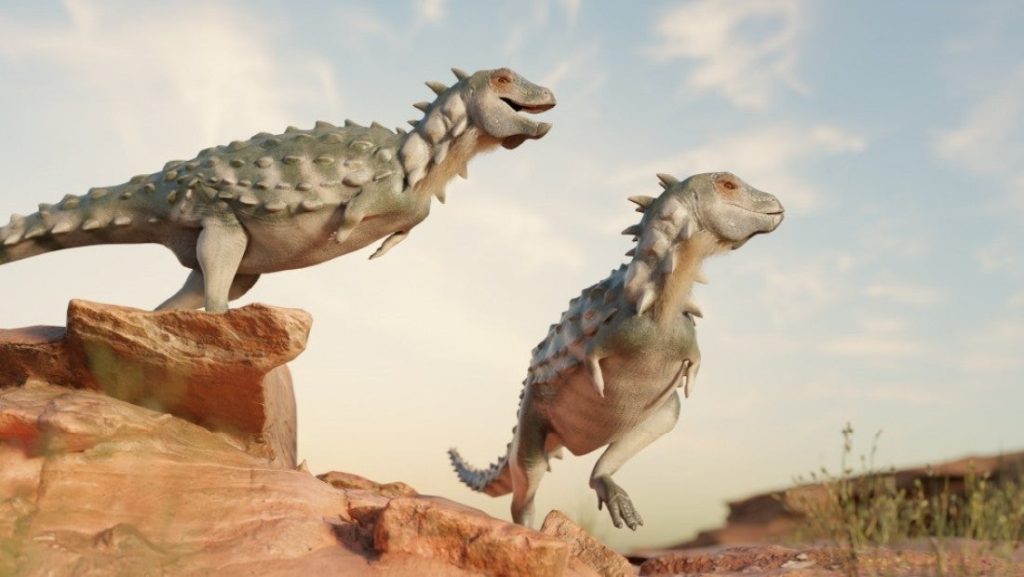 Move over, Stegosaurus, there’s a new armored dino in town – Popular Science