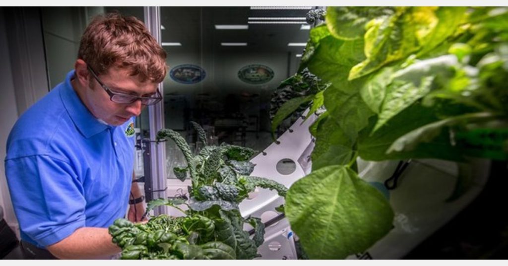 Why a commercial space greenhouse is part of NASA's Artemis program – hortidaily.com