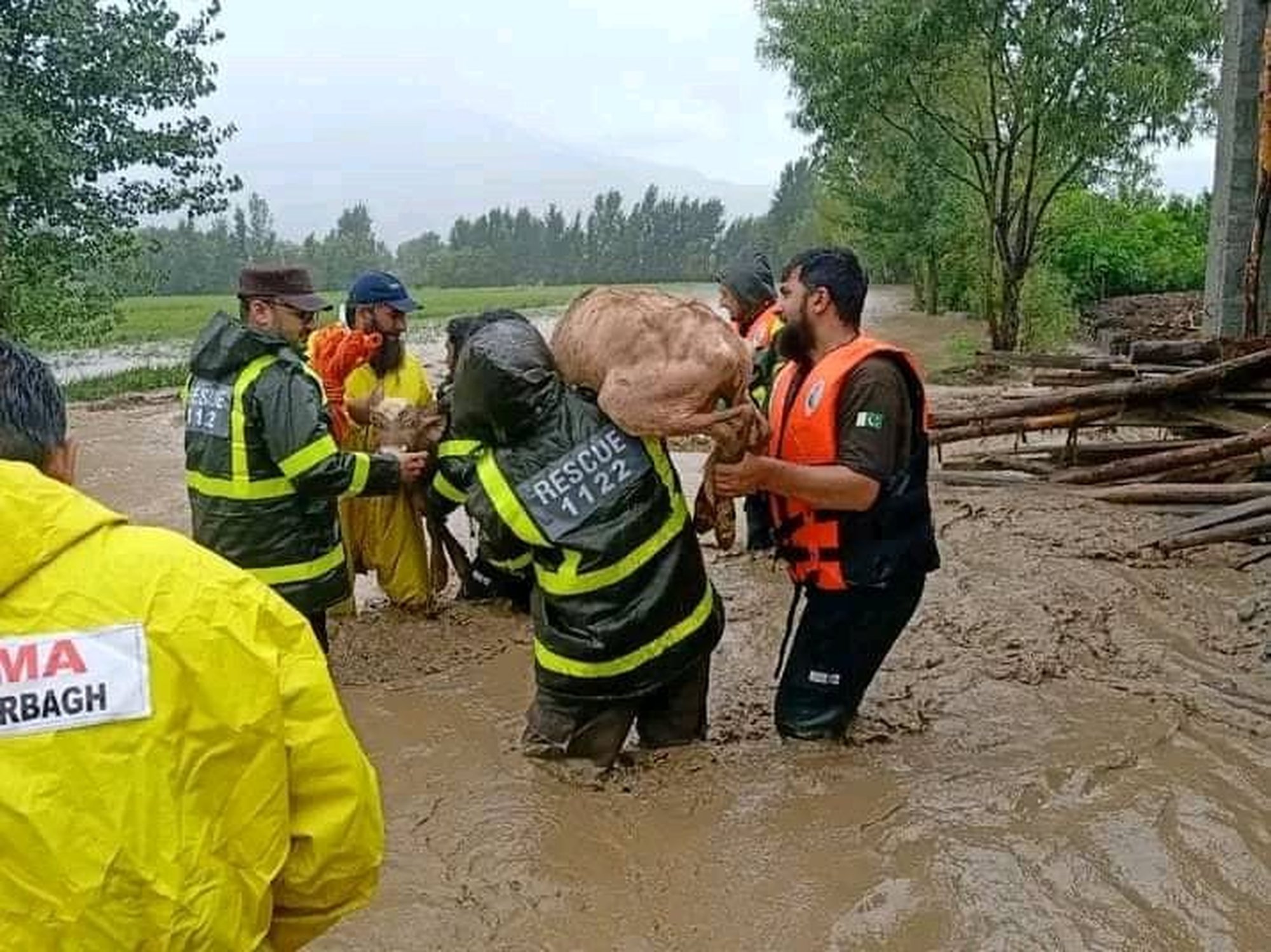 Pakistan: 1 208 now confirmed dead due to flooding