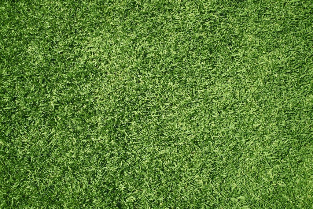 Top 4 Reasons Why Synthetic Turf Owners Are Happier Than Their Natural Counterparts