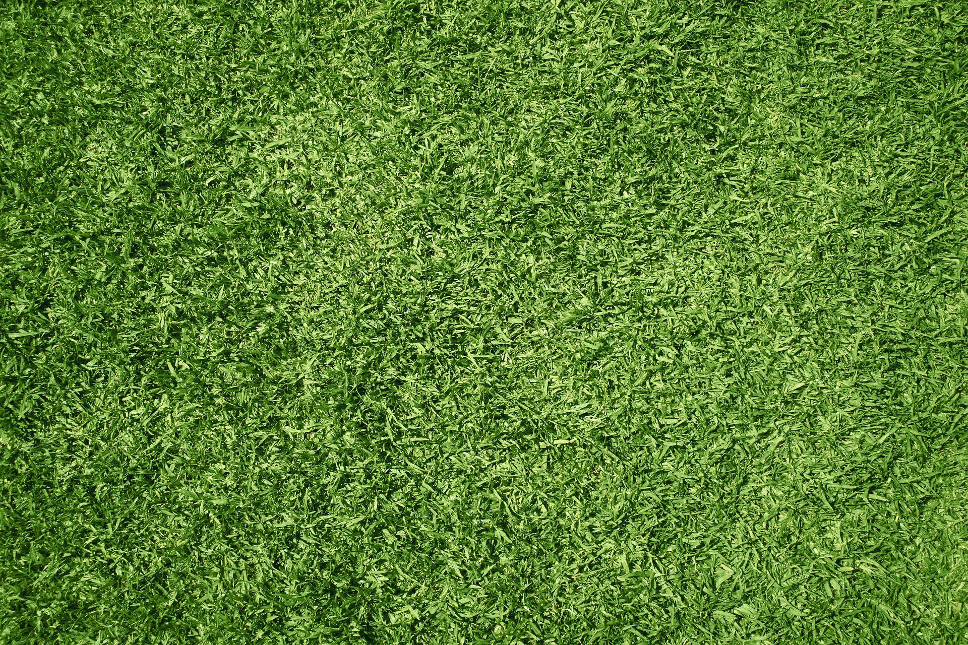 Top 4 Reasons Why Synthetic Turf Owners Are Happier Than Their Natural Counterparts