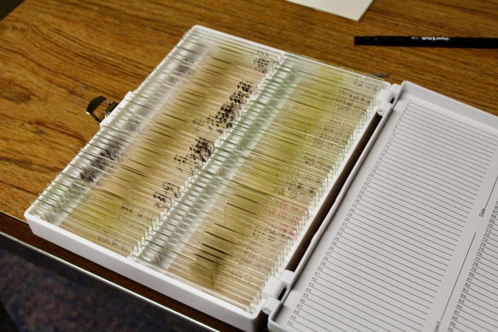 Philadephia’s Diatom Archive Is a Way, Way, Wayback Machine – Hakai Magazine