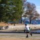 Drought and moths push the trees of Vancouver’s Stanley Park to the brink