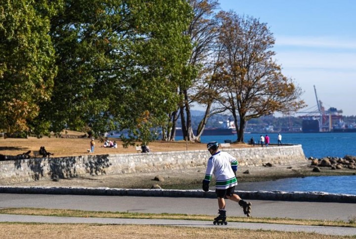 Drought and moths push the trees of Vancouver’s Stanley Park to the brink