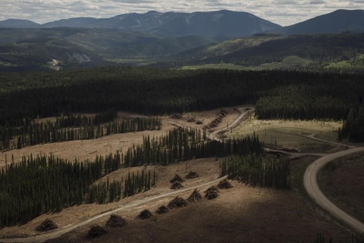 ‘Little window': Coal mine supporters hope for change under new Alberta premier