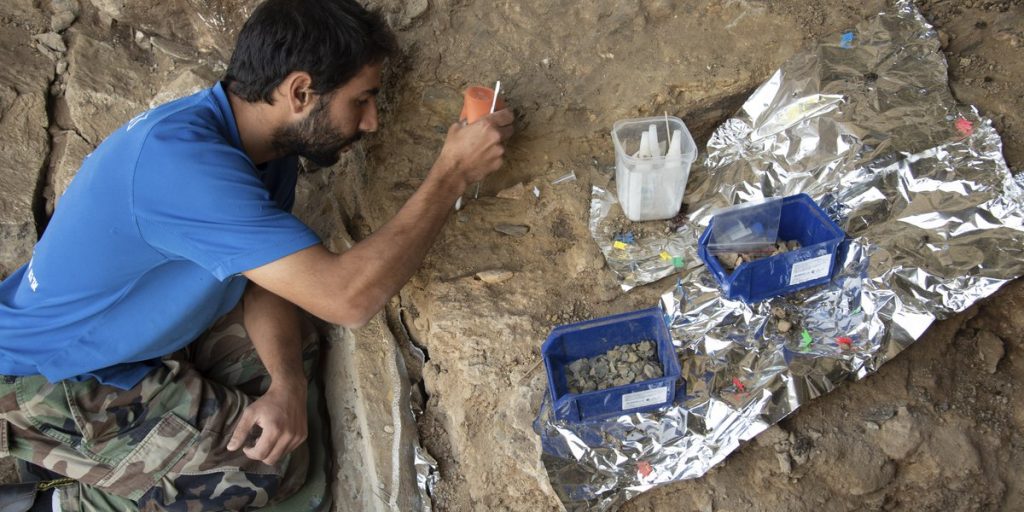 Ancient DNA pulled from tiny bone fragments gives rare snapshot of Neanderthal family ties