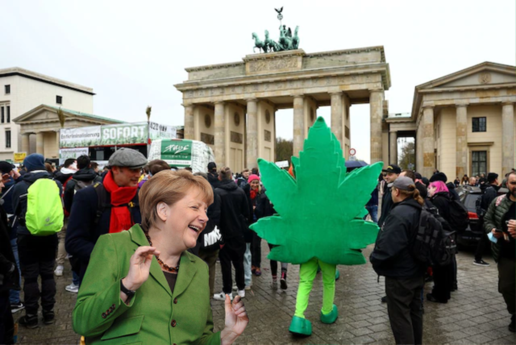 Germany to legalize use of cannabis Germany to legalize use of cannabis