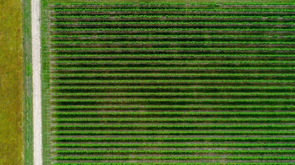 Investment and trade to meet the Paris climate goals