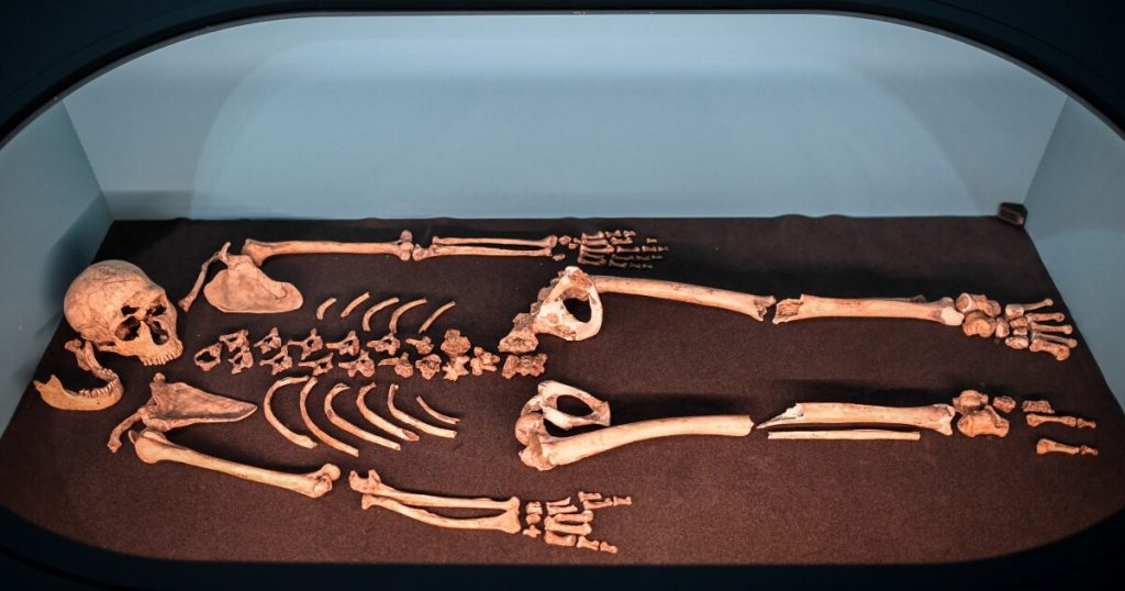 Genetic sequencing gives us the first-ever look at a Neanderthal clan