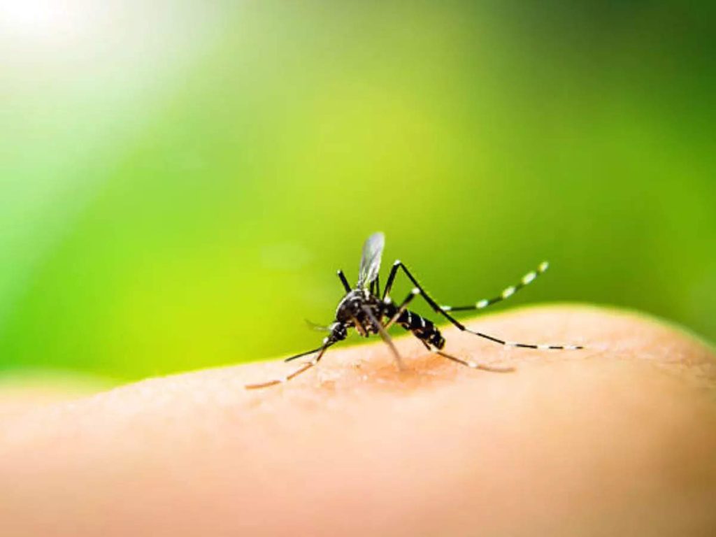 Overlapping symptoms of dengue, Covid-19 confusing in many cases, say doctors