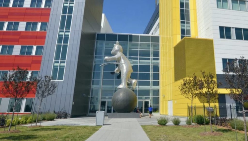 Flu shots are now free for everyone in Quebec due to overwhelmed hospital ERs