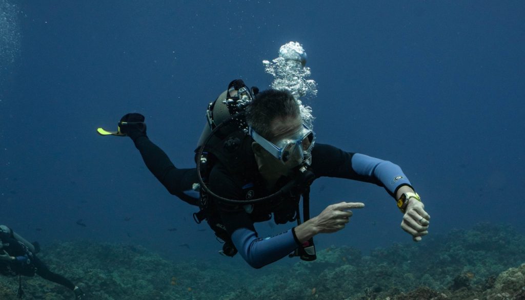 Apple and Huish devise clever pricing model for divers with Oceanic+ app