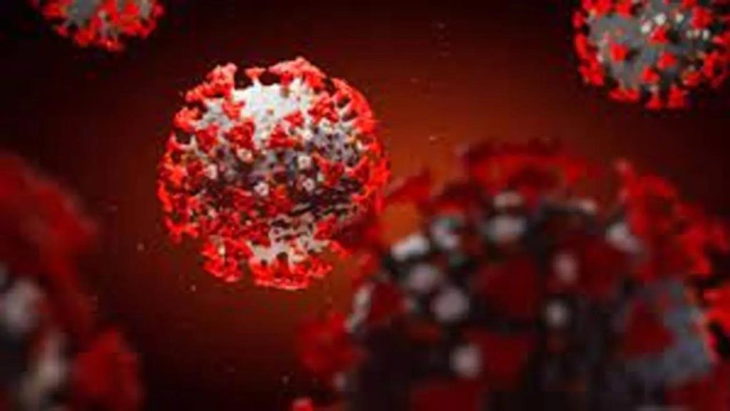 Repeat Covid infections may put people at risk of organ failure, death: Study