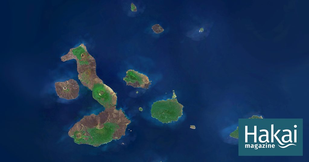 The Galapagos Islands Will Be a Cool Refuge in a Warming World – Hakai Magazine