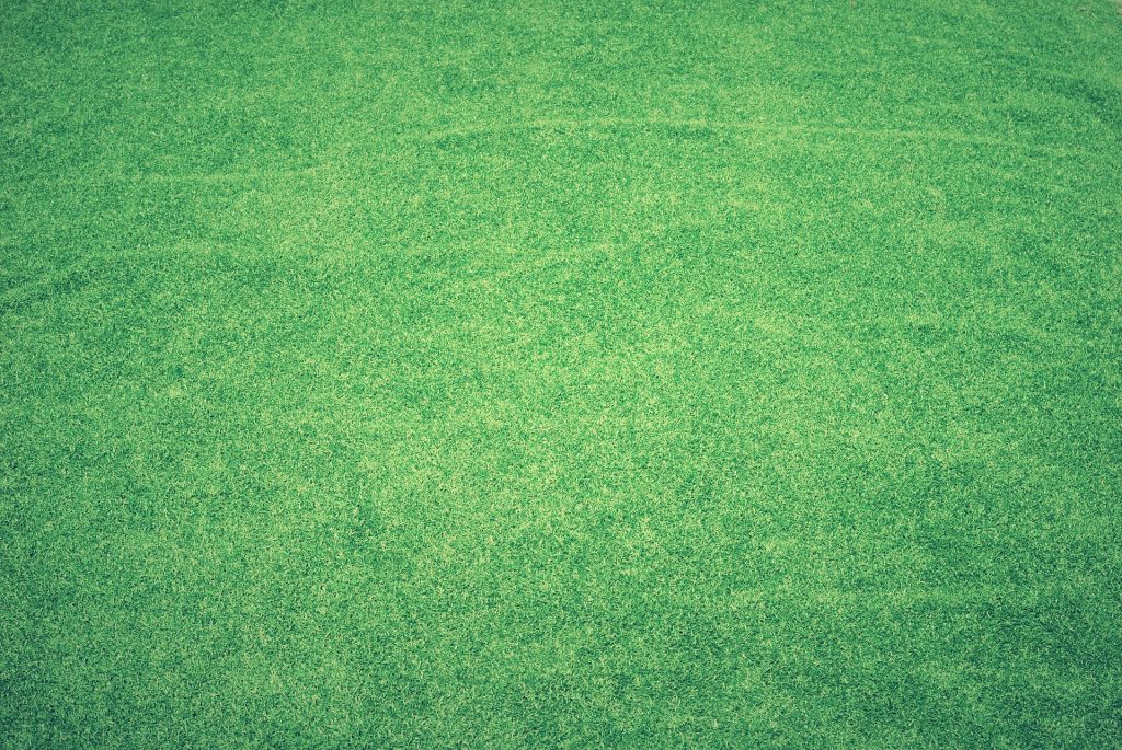 What are the Necessary Characteristics for the Best Artificial Grass?