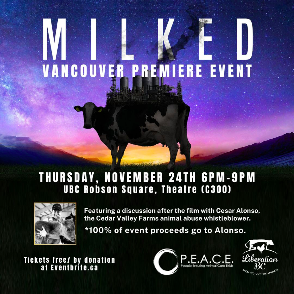 Whistleblower Cesar Alonso took as many baby calves as he could into his own home until he could get them into a sanctuary.