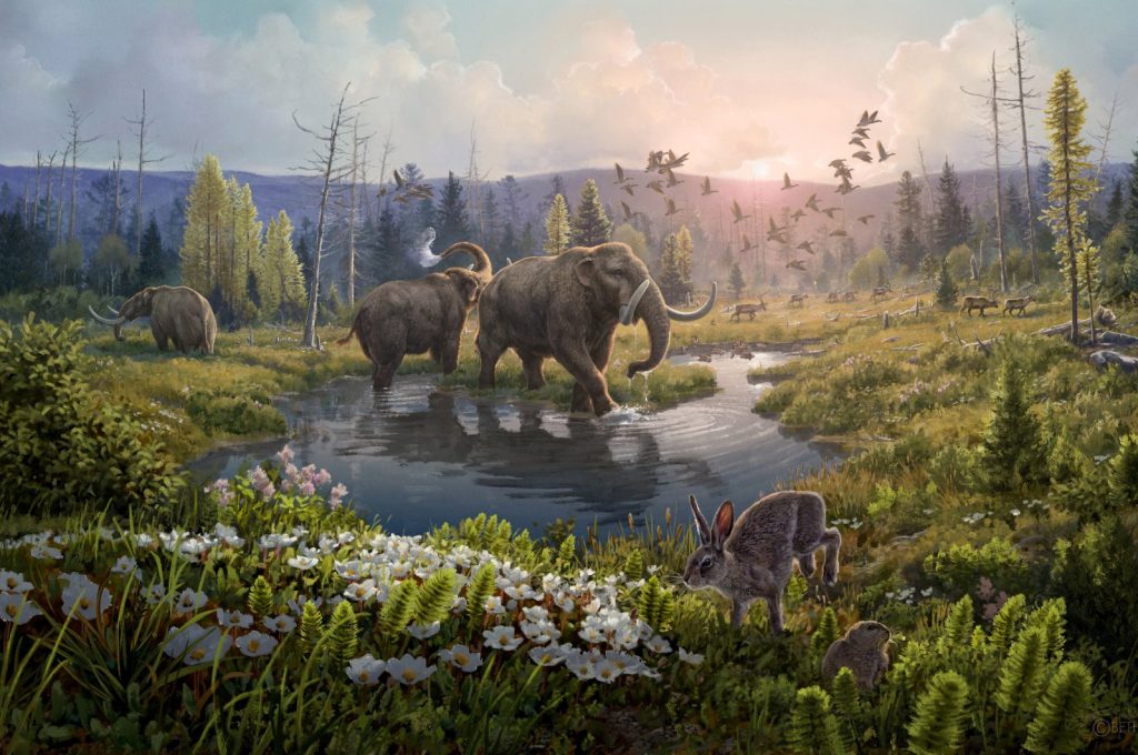 World’s oldest DNA unveils archaic life in Greenland