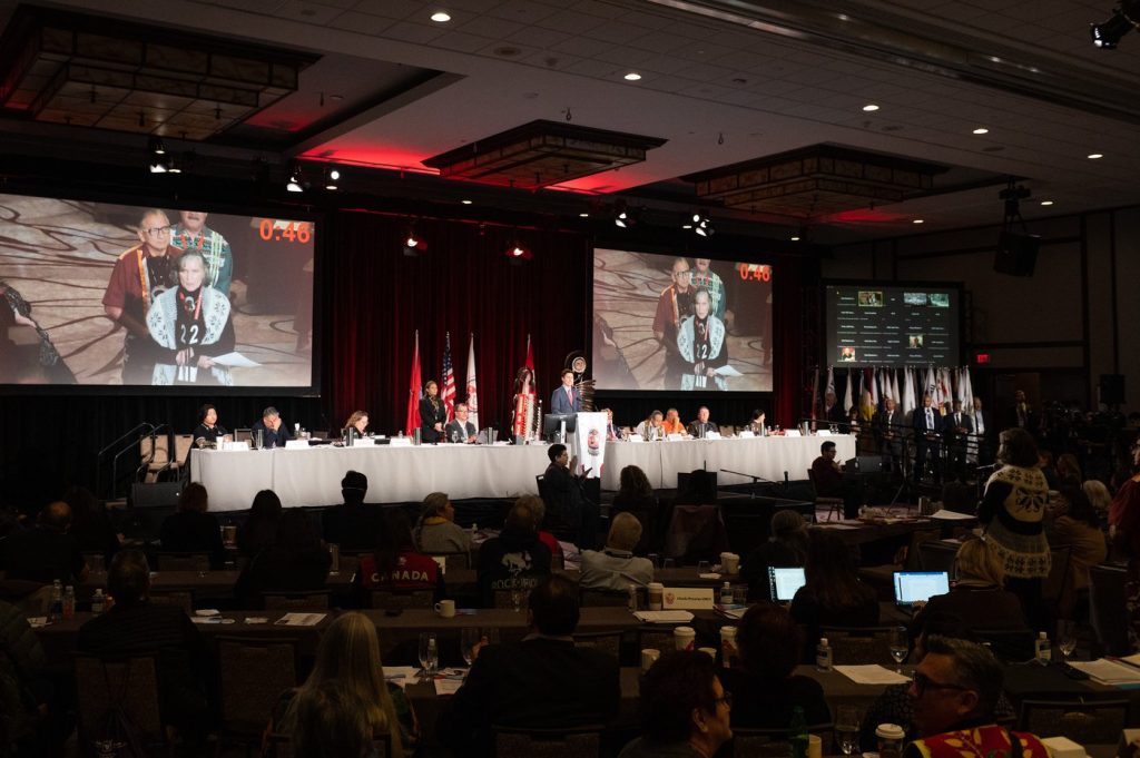 More ‘sustainable’ funding needed to revitalize Indigenous languages, committee hears
