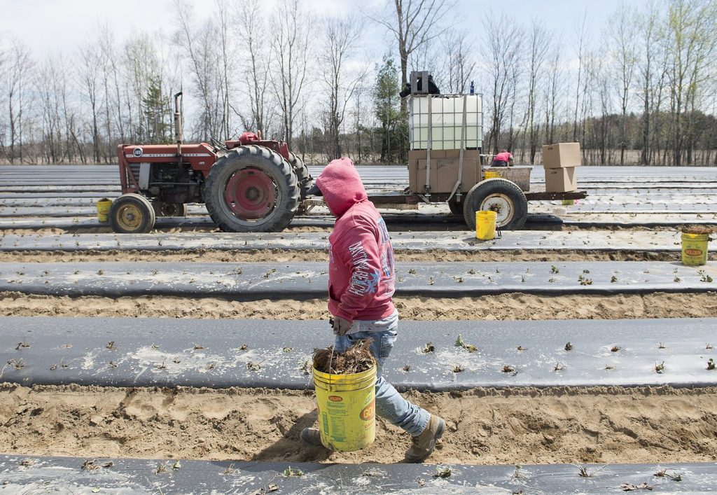 New study shows that high rates of workplace injuries in Montreal involve immigrants