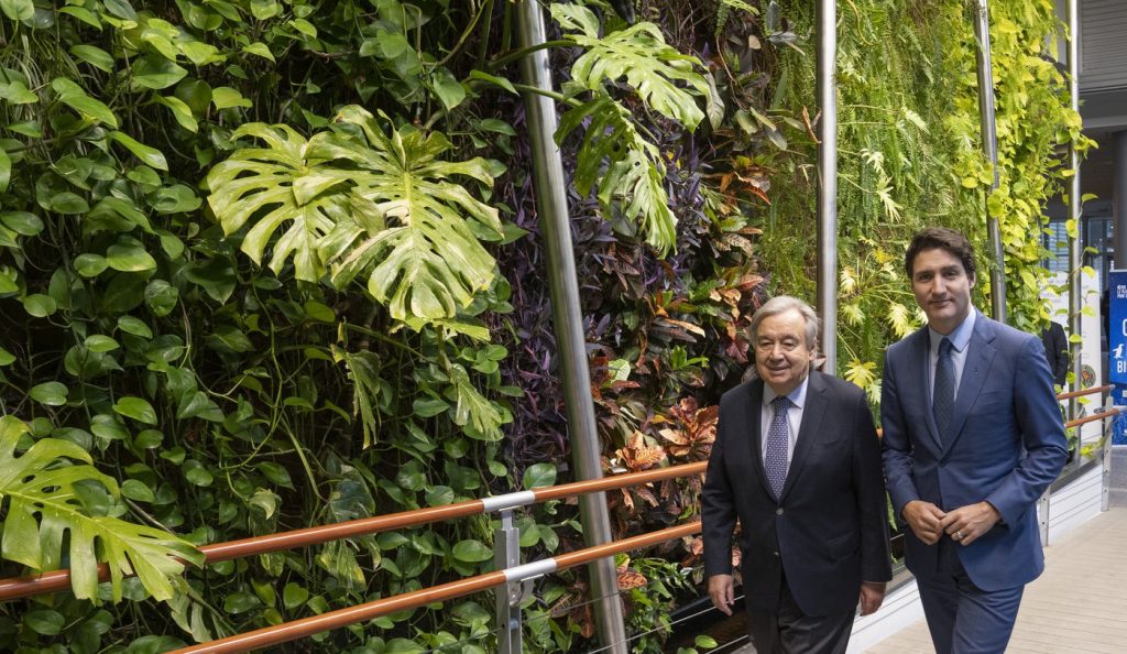 Financial institutions, businesses see a role in preserving biodiversity at COP15