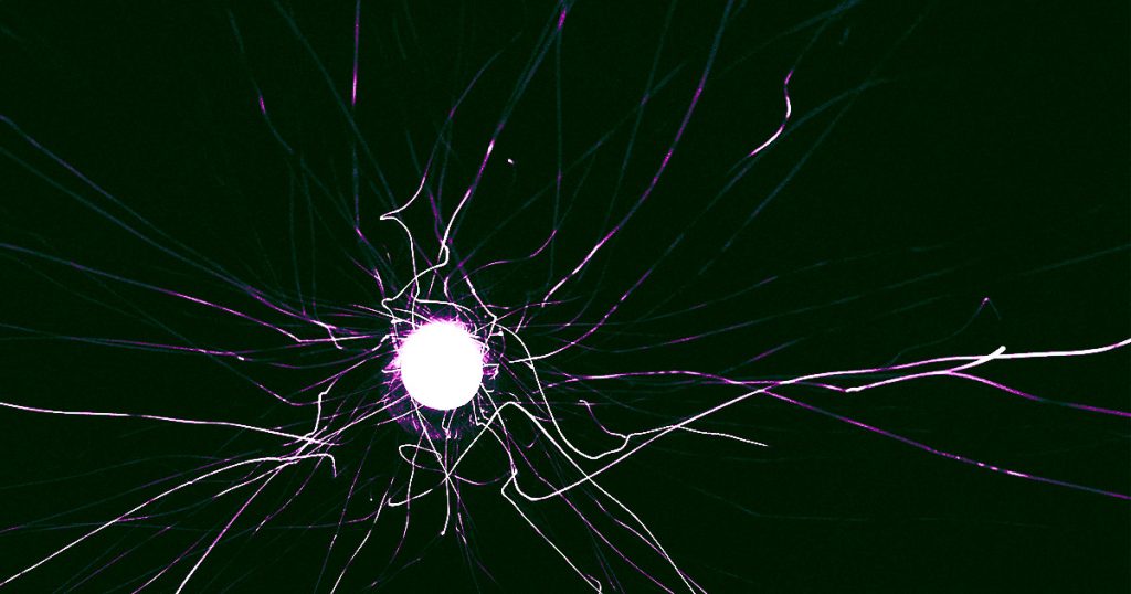 Physicist Says the Laws of Physics Don’t Actually Exist