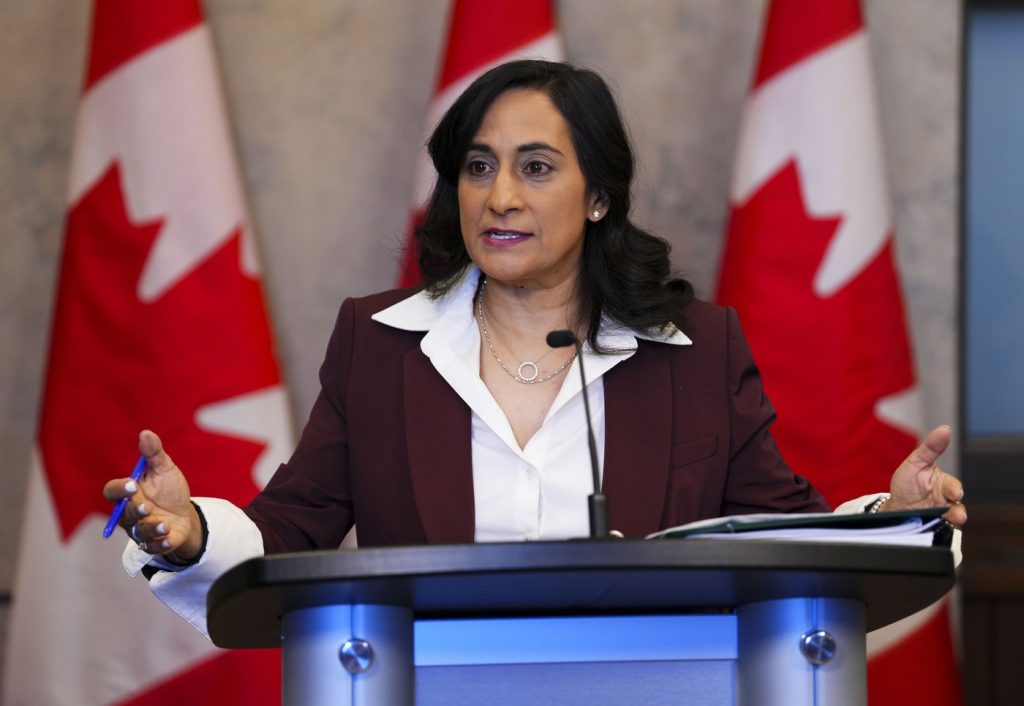 Defence Minister Anand to provide update on military fighter jet plan