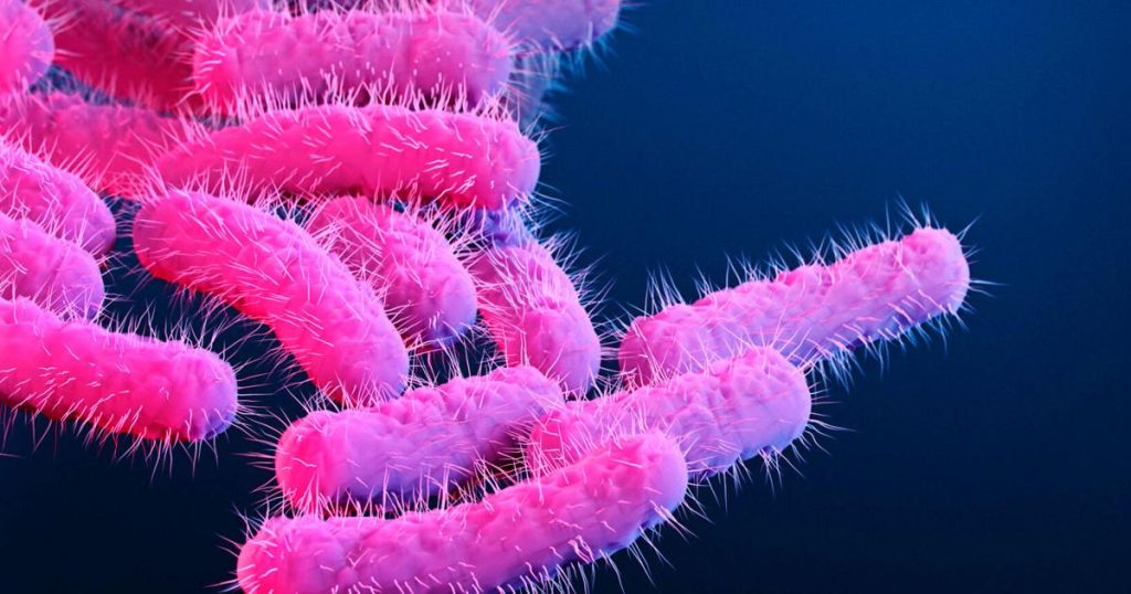 CDC issues warning over an increase of drug-resistant bacteria