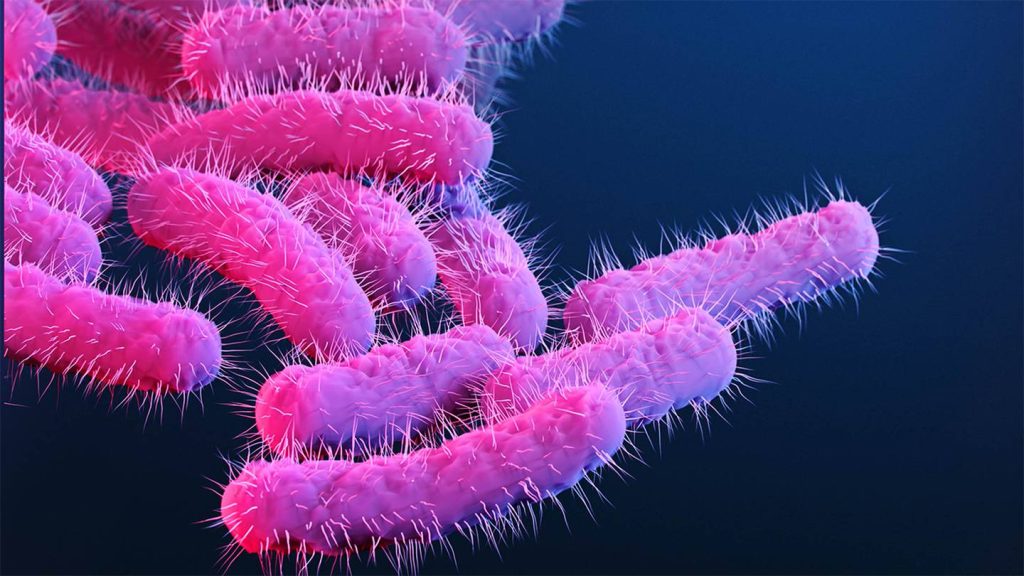 CDC issues warning amid rise of drug-resistant bacteria – Boston 25 News