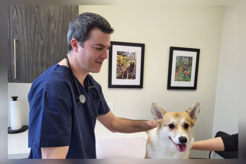 New vet clinic designed to make visits less stressful for pets+pet-parents alike