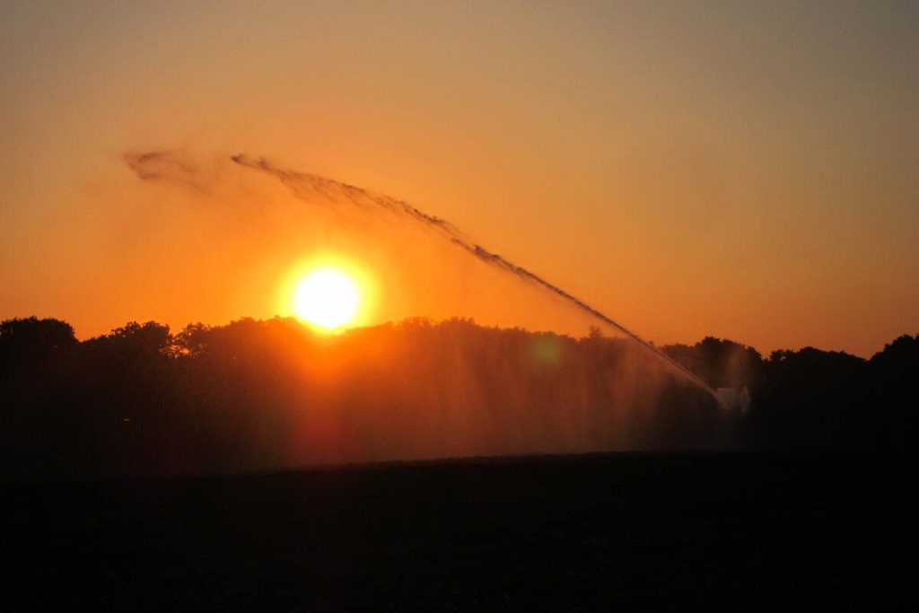 People with schizophrenia had a higher risk of death during B.C.’s 2021 heat dome: study