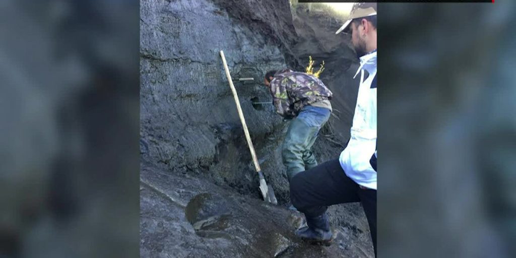 Scientists revive a ‘zombie virus’ that spent 48,500 years frozen in permafrost – 25 News Now