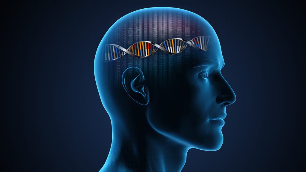 Study shows well-established protective gene for Alzheimer’s only safeguards against cognitive decline in men – Sunnybrook Research Institute