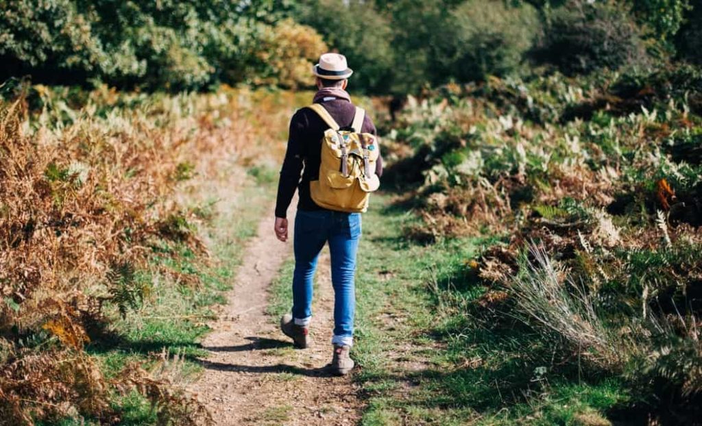 Daily brisk walk can prevent early death, finds study – Mint Lounge