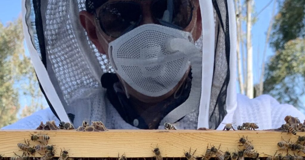 Biologist says bee language is learned, not just innate