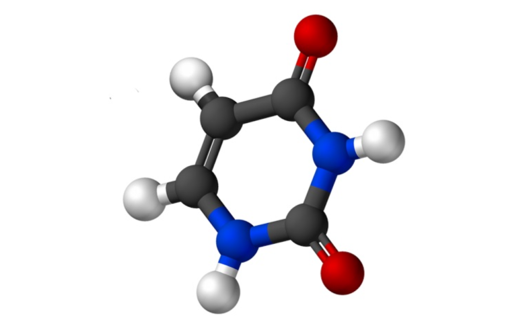 Uracil Has Been Found In Asteroid Ryugu Samples