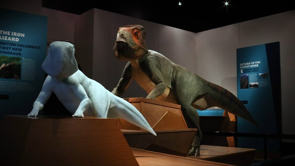 Touchable miniatures make the latest Dinosaur exhibit at the Royal BC Museum more accessible