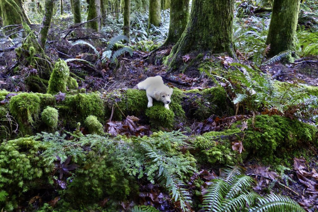 DUCHESS OF DIRT: It’s Earth Month. What are you doing for our planet?