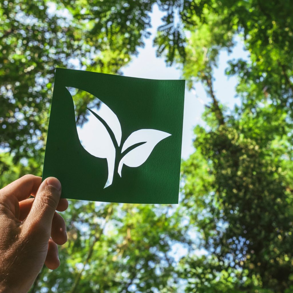 Samsung Canada and Forest Stewardship Council® (FSC®) Canada team up to help protect and preserve Canadian forests