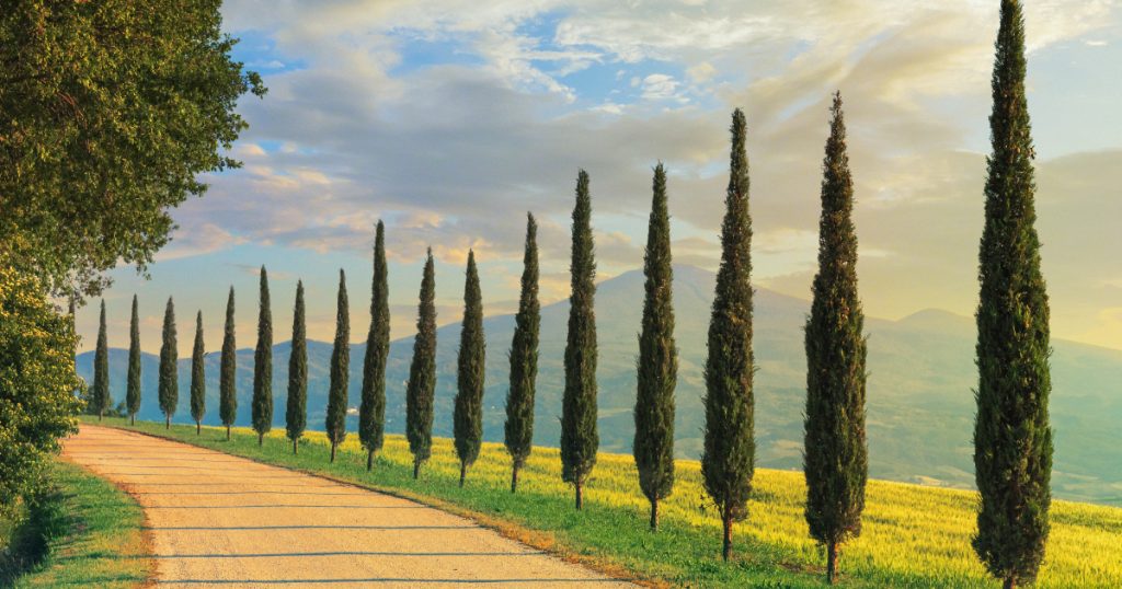 CDK for Terraform Improves HCL Conversion and Terraform Cloud Interactions